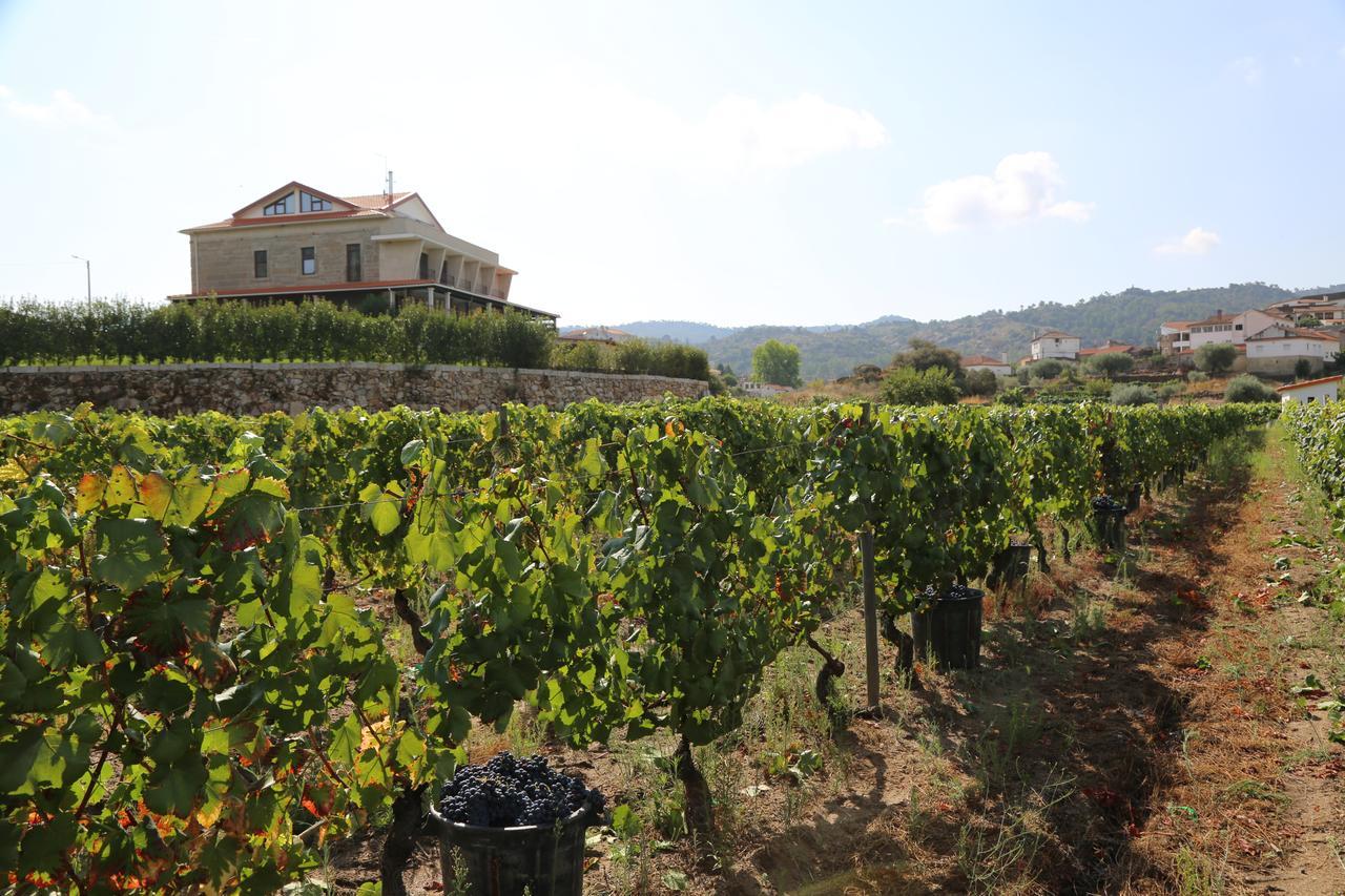 Quinta Do Palame Villa Vila Flor Eksteriør bilde