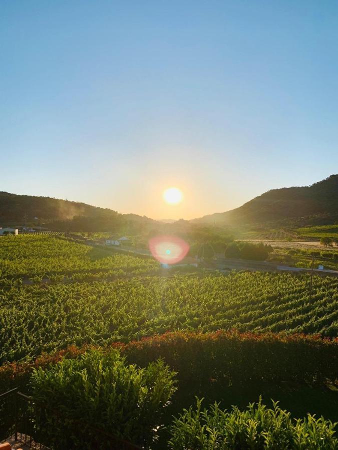Quinta Do Palame Villa Vila Flor Eksteriør bilde
